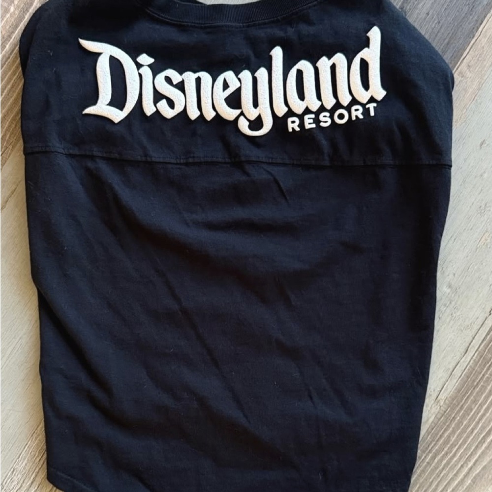 Disneyland spirit jersey for a small dog